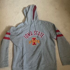 Champion Gray Hoodie with Red Lining
